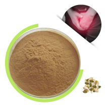 Click ISO/Kosher/HALAL Factory Bulk Supply Organic Pumpkin Seed Protein Powder